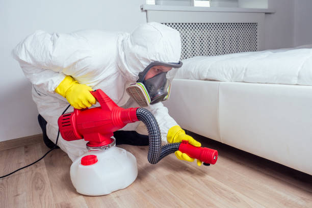 Best Pest Exclusion Services  in Lindenwold, NJ